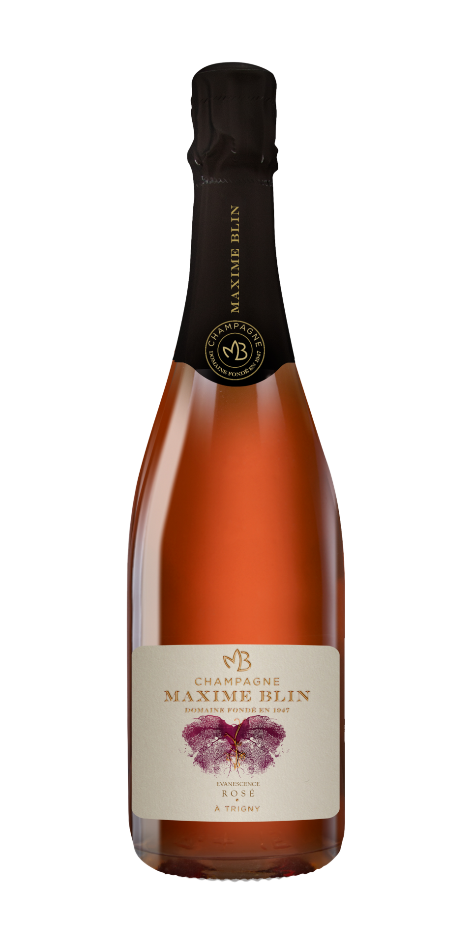 Maxime Blin Evanescence Rosè