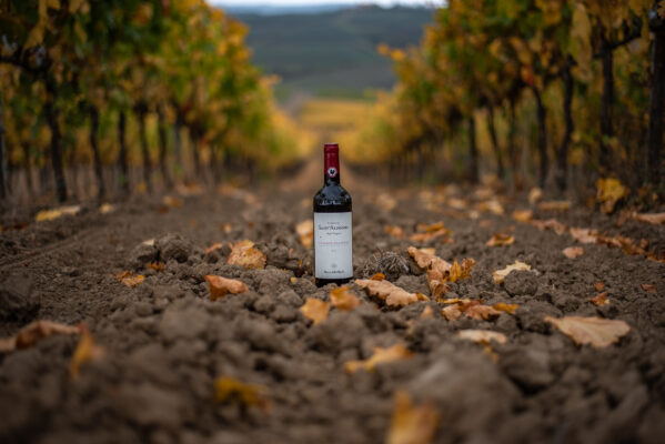 Sant'Alfonso_StillLife