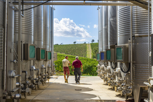 cantina campomaccione_374874_